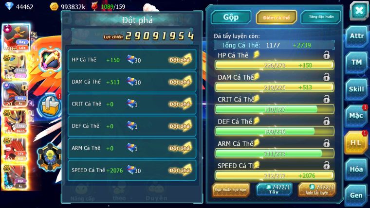 MÃ : #TTS3212 - SV1497 - TOP 5PK - V15 - 44K KC - HOOH CH DYNAMAX CẶP CHÓ BÁ CHỦ YVETAL CH FORM BUILD CỰC ĐẸP !!